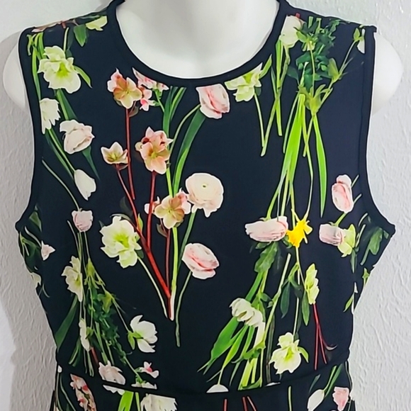 Victoria Beckham Floral Spring Sleeveless Mini-Dress, Size Medium - Picture 3 of 9